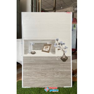 Gạch men mờ ốp tường 30x60 ttc