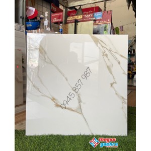 Cửa hàng bán gạch bóng kiếng giá rẻ tại quận 8