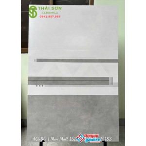Gạch vitto hoàn mỹ 40x80 men mờ xám xi măng