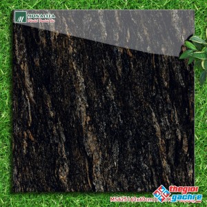 Gạch ốp lát bóng kiếng 60x60 siêu bóng giá rẻ bình thuận