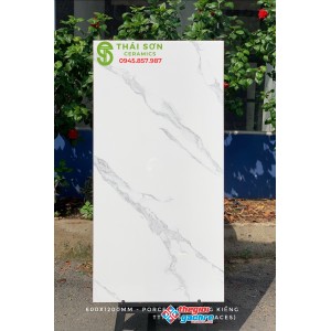 Gạch 60x120 đá bóng kiếng trắng vân mây cao cấp quận 10