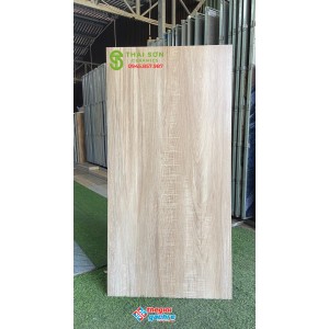 Gạch vân giả gỗ 60x120 ấn độ