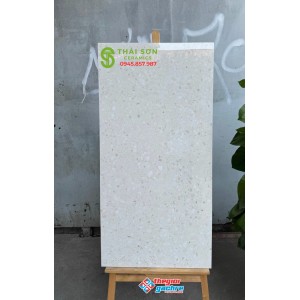 Gạch ốp lát terrazzo 60x120 bóng kiếng