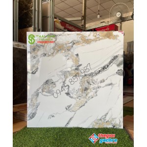 Mẫu gạch lát nền phòng khách 80x80