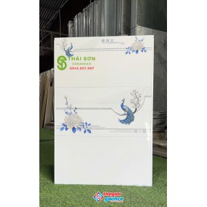 Gạch hà thanh 30x60 trắng trơn bóng kiếng
