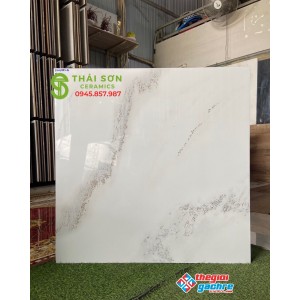 Gạch khắc kim 80x80 lát nền tasa tại Q1 cao cấp