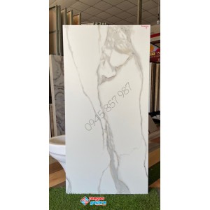 Gạch nhập khẩu ấn độ mờ 60x120 cao cấp giá rẻ vĩnh long