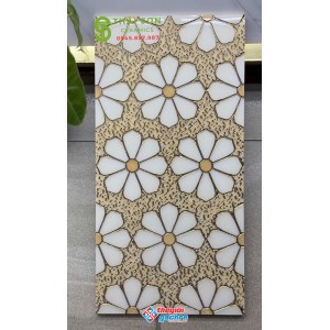 Gạch ốp trang trí 30x60 khắc kim vàng nhập khẩu