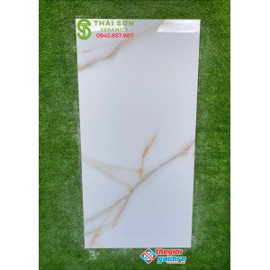 Gạch ấn độ giá rẻ bình chánh 60x120 siêu bóng kiếng