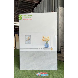 Gạch ốp đậm nhạt bóng kính 30x60 takao