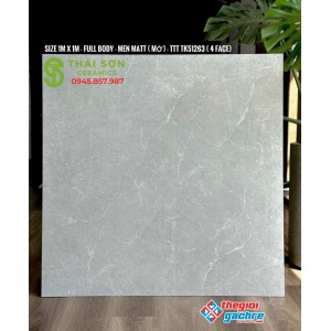 Gạch lát nền 100x100 matt đồng chất takao giá bao nhiêu