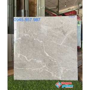 Gạch bóng kiếng 60x60 lót nền giá rẻ