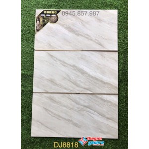 Gạch ốp tường 40x80 bóng kiếng cao cấp