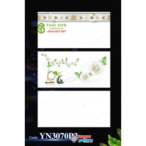 Gạch 30x60 ốp tường men bóng giá rẻ tại thành phố Hồ Chí Minh