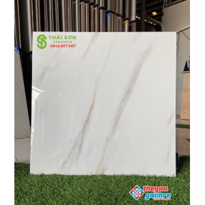Gạch ấn độ 60x60 trắng bóng kiếng bán tại Q7
