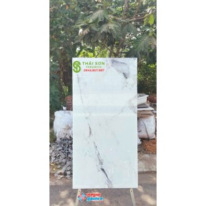 Gạch ốp tường bóng kiếng 60x120 ấn độ