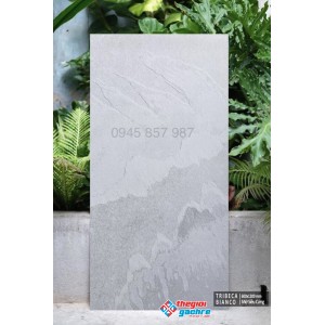 Gạch ấn độ 60x120 đá mờ cao cấp tại miền nam