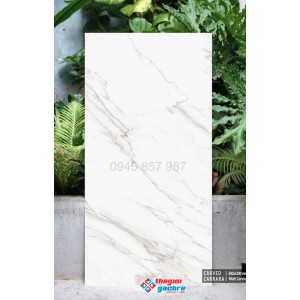 Gạch 60x120 trắng vân ốp tường cao cấp