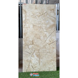 Gạch lát nền khắc kim 60x120 trung quốc