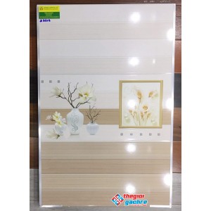 Gạch ốp tường giá rẻ 30x60 tại tiền giang