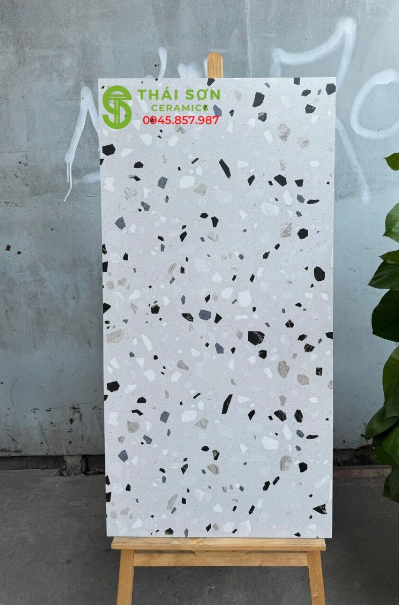 Gạch ốp lát ấn độ 60x120 matt mờ terrazzo