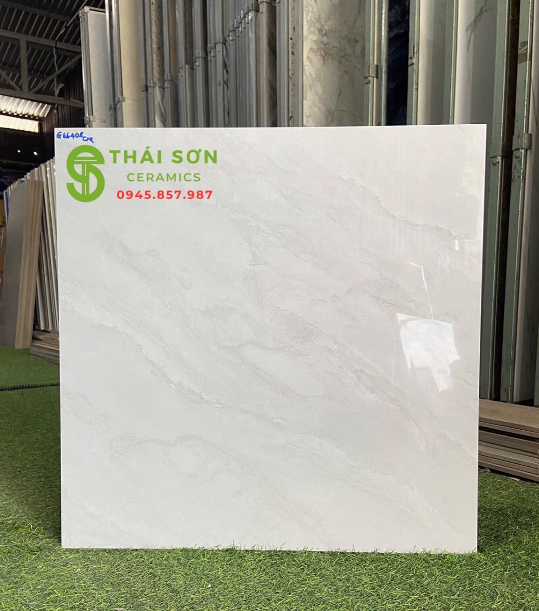 Gạch cmc bóng kiếng 60x60 ốp tường phòng khách