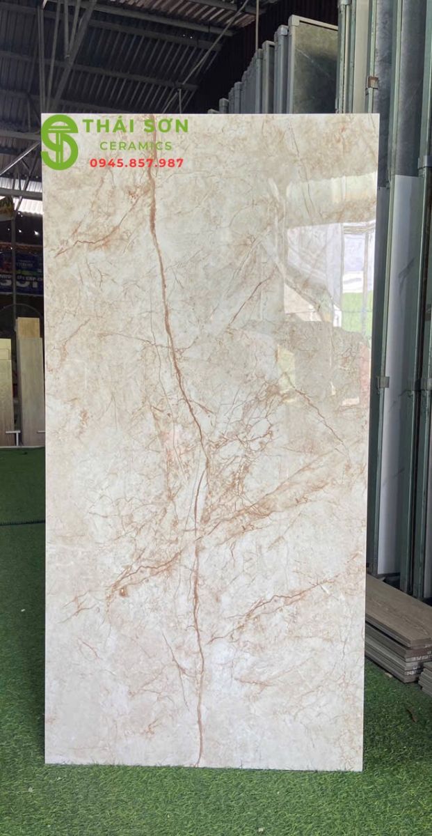 Gạch ấn độ 60x120 bóng kiếng lát nền biệt thự