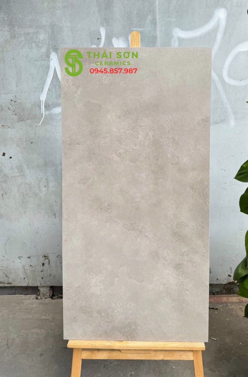 Gạch matt mờ tông xi măng nhạt 60x120 ấn độ
