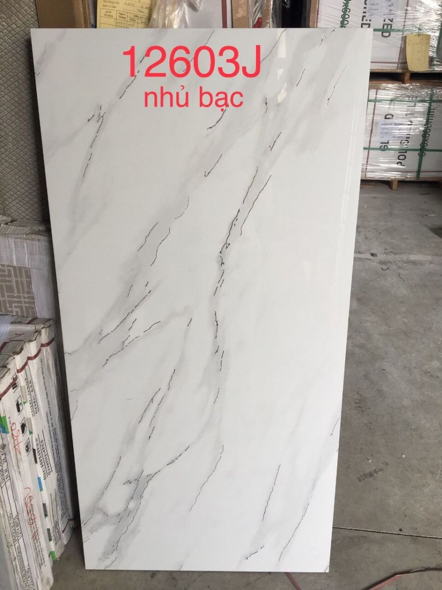 gạch nhập khẩu 60x120 nhũ bạc